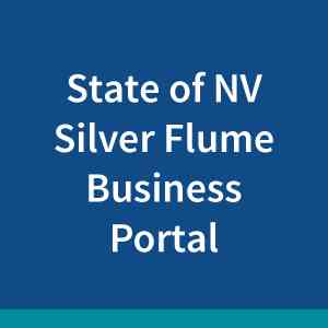 nevada-silver-flume-business-portal2