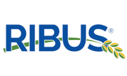 Ribus Inc